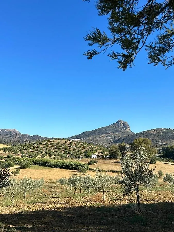 Rancho Burruelo Villa Algodonales Holiday home